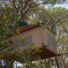 Tenda sugli alberi con reti di sicurezza.