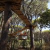 Un percorso sospeso tra gli alberi, con una piattaforma e una tenda. Immerso in una fitta pineta.