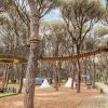 Percorso avventura sopraelevato tra gli alberi in un parco con strutture colorate.