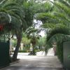 Ingresso di un giardino con grandi palme e un sentiero pavimentato.