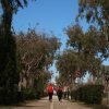 Persone camminano su un sentiero alberato.