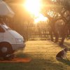 Camper con due cani, al tramonto.