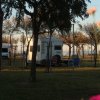 Camper parcheggiati in un'area verde.