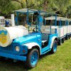Trenino turistico blu e bianco in un parco.