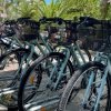 Biciclette con cestini parcheggiate in fila.