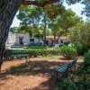 Giardino ombreggiato con panchine e alberi, edifici bianchi sullo sfondo.