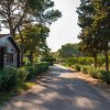 Sentiero asfaltato tra alberi e cespugli, accanto a una casa di legno.