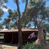 Un'area esterna con tettoia e alberi, accanto a una struttura di mattoni.