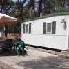 Roulotte bianca con ombrellone beige e sedie verdi su un piazzale in mezzo agli alberi.