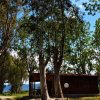 Una casetta di legno tra alti alberi al sole.