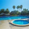 Piscina all'aperto circondata da palme.