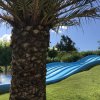 Scivolo d'acqua ondulato vicino a un albero di palma.