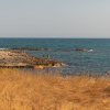 Mare e scogli con erba dorata in primo piano.
