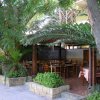 Ristorante all'aperto sotto una veranda con tavoli e sedie in legno, circondato da palme e piante.