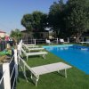 Piscina con lettini su prato verde.
