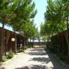 Vialetto alberato tra bungalow con verande.