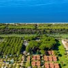 Vista aerea di un campeggio con alberi e tende vicino alla costa.