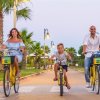 Tre persone su biciclette gialle pedalano su un viale alberato.
