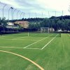 Campo da tennis su erba sintetica, recintato con rete alta, circondato da alberi.