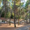File di bungalow tra alberi in un campeggio.
