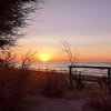 Tramonto sul mare con cespugli e staccionata.