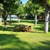 Tavolo da picnic sotto alberi in un parco verde.