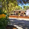 Un ristorante all'aperto circondato da alberi e fiori.