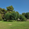 Un prato verde con alberi e un cielo limpido.