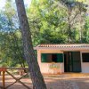 Una piccola casa bianca circondata da alberi, con tavolo e sedie nel patio.