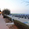Spiaggia con ombrelloni blu e un viale alberato.