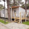 Casetta mobile con veranda in legno, situata tra alberi di pino, con prato e stendibiancheria.