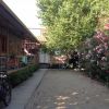 Cortile ghiaioso con biciclette e fiori rosa.