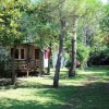 Sentiero erboso tra bungalow fra alberi.