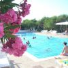 Persone in una piscina con fiori rosa in primo piano e lettini sullo sfondo.