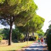 Due persone camminano lungo un sentiero alberato immerso nella natura.