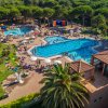 Vista aerea di una piscina all'aperto circondata da lettini e ombrelloni, con alberi intorno.