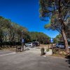 Parcheggio con auto tra gli alberi di una pineta, sotto un cielo azzurro.