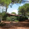 Edificio con tetto spiovente in una foresta di pini.