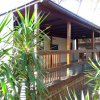Veranda di legno con piante verdi davanti.