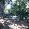 Sentiero e panchine in un'area verde con palme e alberi, bandiere sullo sfondo.