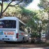 Un autobus bianco con scritta 