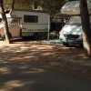 Camper parcheggiati tra gli alberi.