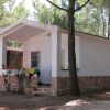 Bungalow bianco con tetto a spiovente, situato tra gli alberi.
