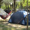 Una tenda blu e un'amaca in un campeggio boscoso.