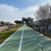 Pista ciclabile verde con linee bianche, fiancheggiata da alberi e una recinzione.