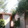 Casette tra alberi verdi e cespugli.