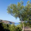 Vista di un paesaggio collinare con alberi e un tetto in primo piano.
