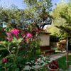 Giardino fiorito con panchina e cespugli, circondato da alberi.