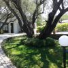 Un vialetto curvo con grandi alberi e una lampada sferica, vicino a un edificio bianco.