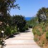 Un sentiero fiancheggiato da vegetazione, che si apre verso il mare blu in lontananza.